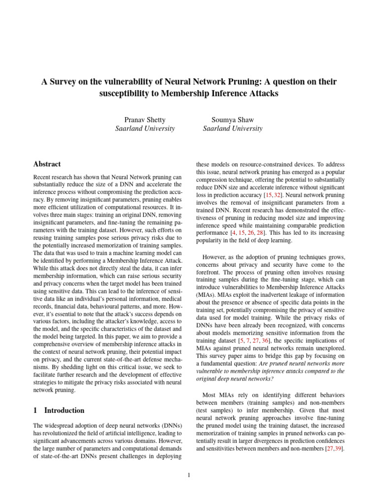 A Survey On The Vulnerability of Neural Network Pruning - A Question On ...