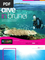 Download Dive in Brunei by Syen Sofynn SN72773457 doc pdf