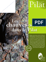 Parc Pilat Chauves Souris