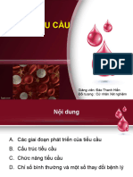 3 Dong Tieu Cau 2021