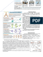 PDF Trabajo 1 - Tipos de Reproducción