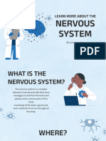Learn More About The Nervous System by Slidesgo