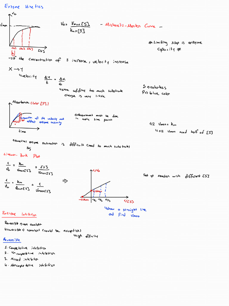 Enzyme Kinetics | PDF
