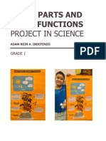 Indefenzo, Adam Rein - Science 1 Q2 Project
