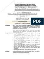 SK Pengembang 8 Standar 2022