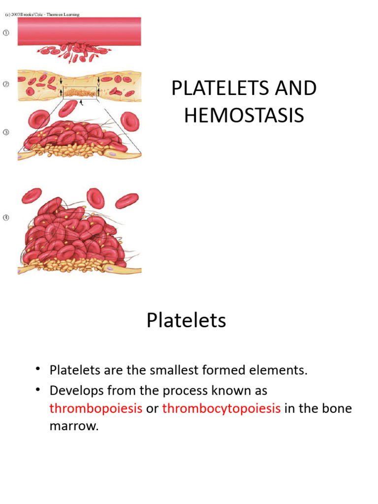 Platelets and Hemostasis Overview | PDF | Platelet | Cell Biology