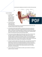 Sistema de Audicion