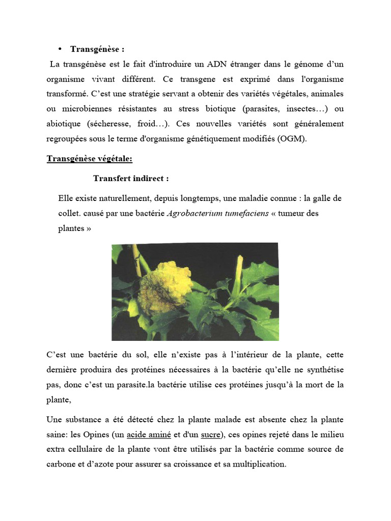 Transgénèse : Techniques et Applications | PDF | Réaction en chaîne par ...