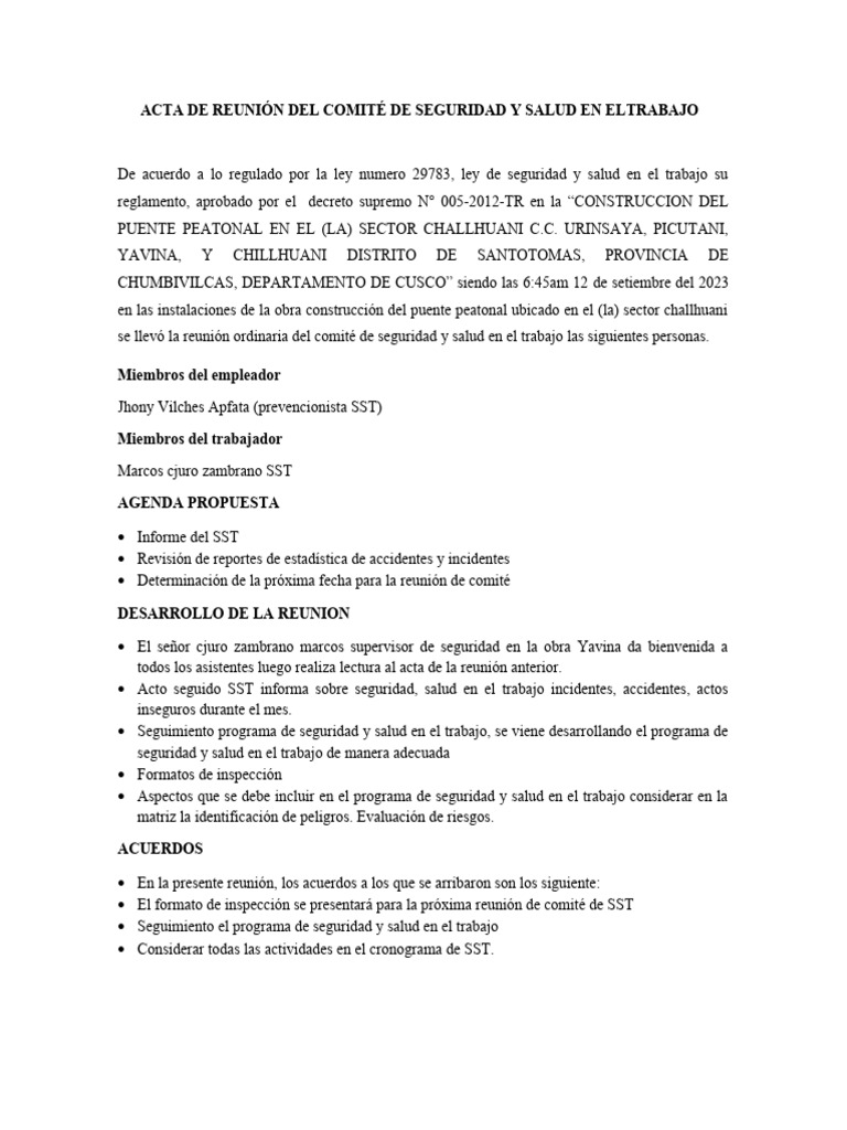 Acta de Reunión Del Comité de Seguridad y Salud en Eltrabajo | PDF ...