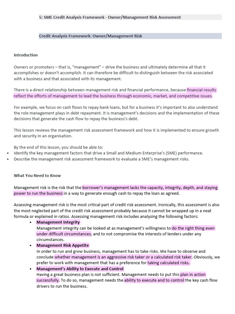 SME Management Risk Assessment Guide | PDF | Working Capital | Debt