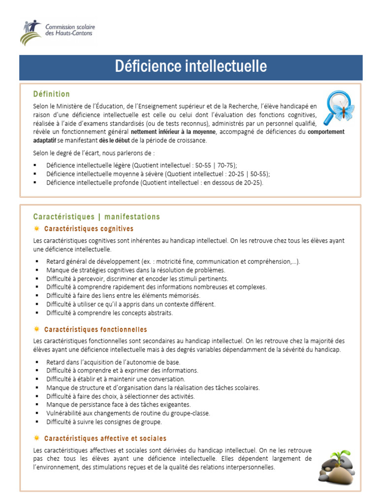 Deficience Intellectuelle | PDF | Handicap mental | Invalidité