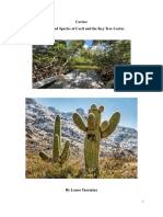 Cactus White Paper Without Track Changes