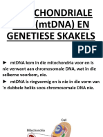 LES 38 MITOCHONDRIALE DNA (mtDNA) EN GENETIESE SKAKELS
