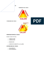 Teoria Del Fuego