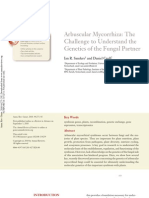 Arbuscular Mycorrhiza Genetics of the Fungal Partner