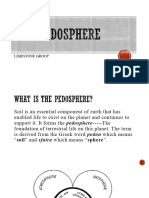 Limestone Pedosphere