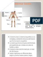 el sistema Oseo