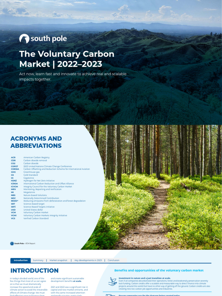 South Pole VCM Report 2022 2023 | Download Free PDF | Climate Change ...