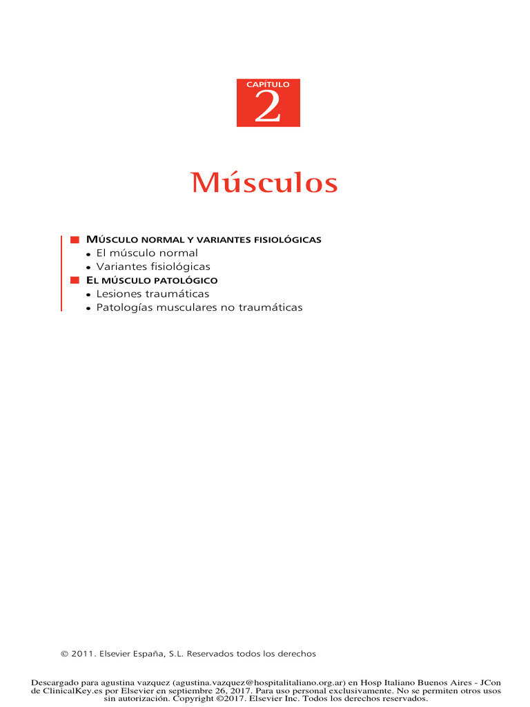 Eco MSK 2 | PDF | Músculo | Sistema musculoesquelético