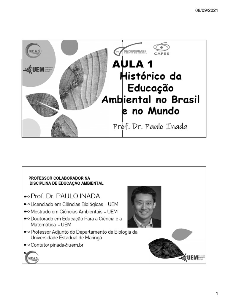 Histórico da Educação Ambiental no Brasil | PDF | Sustentabilidade ...