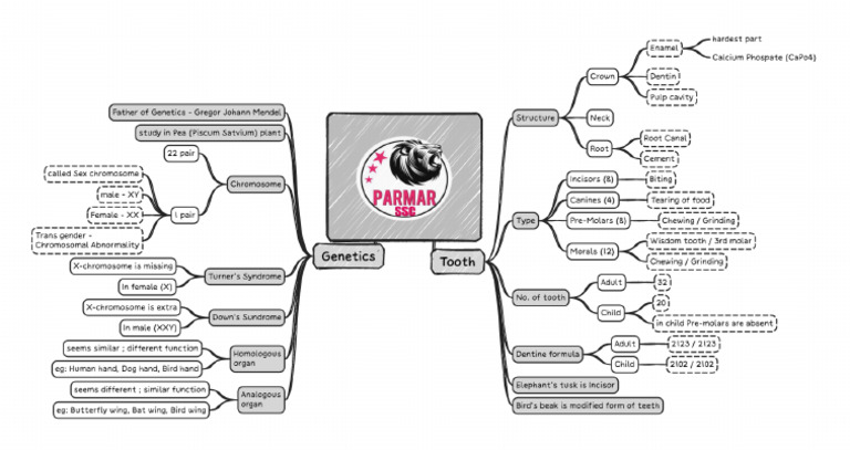 Biology Miscellaneous Printable FRB PDF