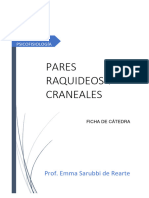 Ficha de Catedra Pares Raquídeos y Craneales