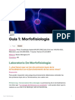 Guia 1 Morfofisiologia