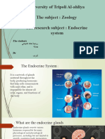‎⁨نسخة Endocrine system⁩