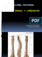 COLUMNA DORSAL Y LUMBOSACRA