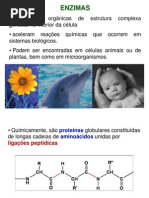 Aspectos Gerais Das Enzimas