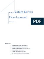 Le Feature Driven Development