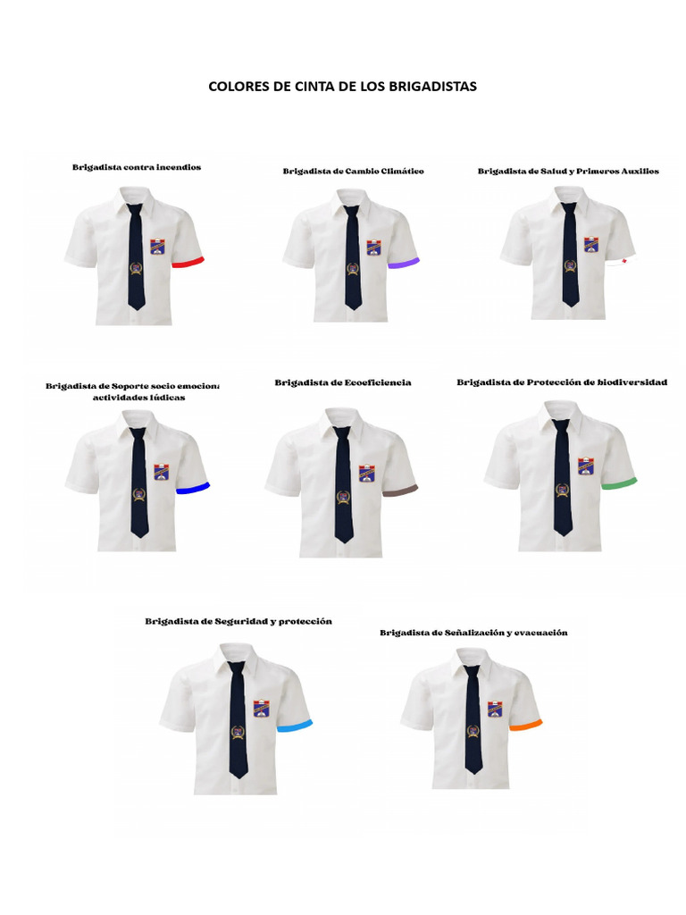 Colores de Cinta de Los Brigadistas | PDF