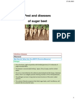 4 Diseases and Pests of Sugar Beet