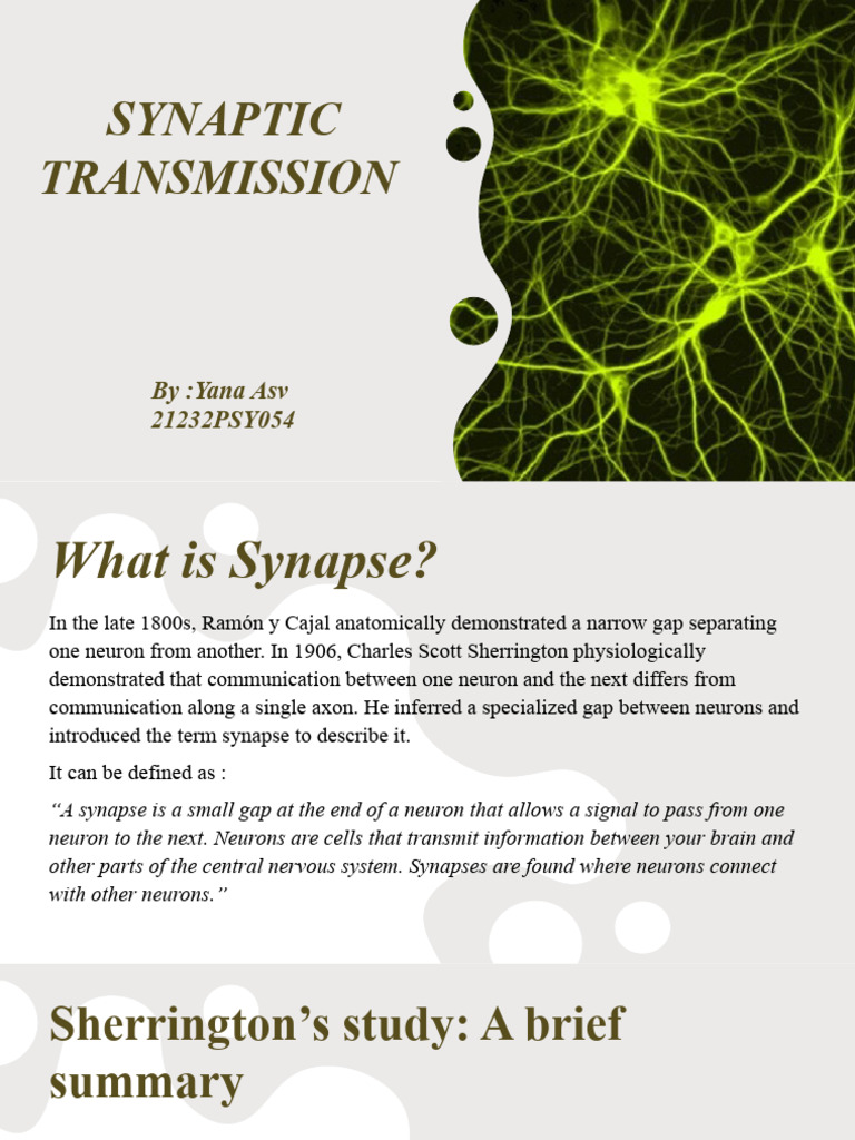 Synaptic Transmission | PDF | Chemical Synapse | Neurotransmitter