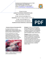 CAP - Deysi Rojas - Patología Quirurgica