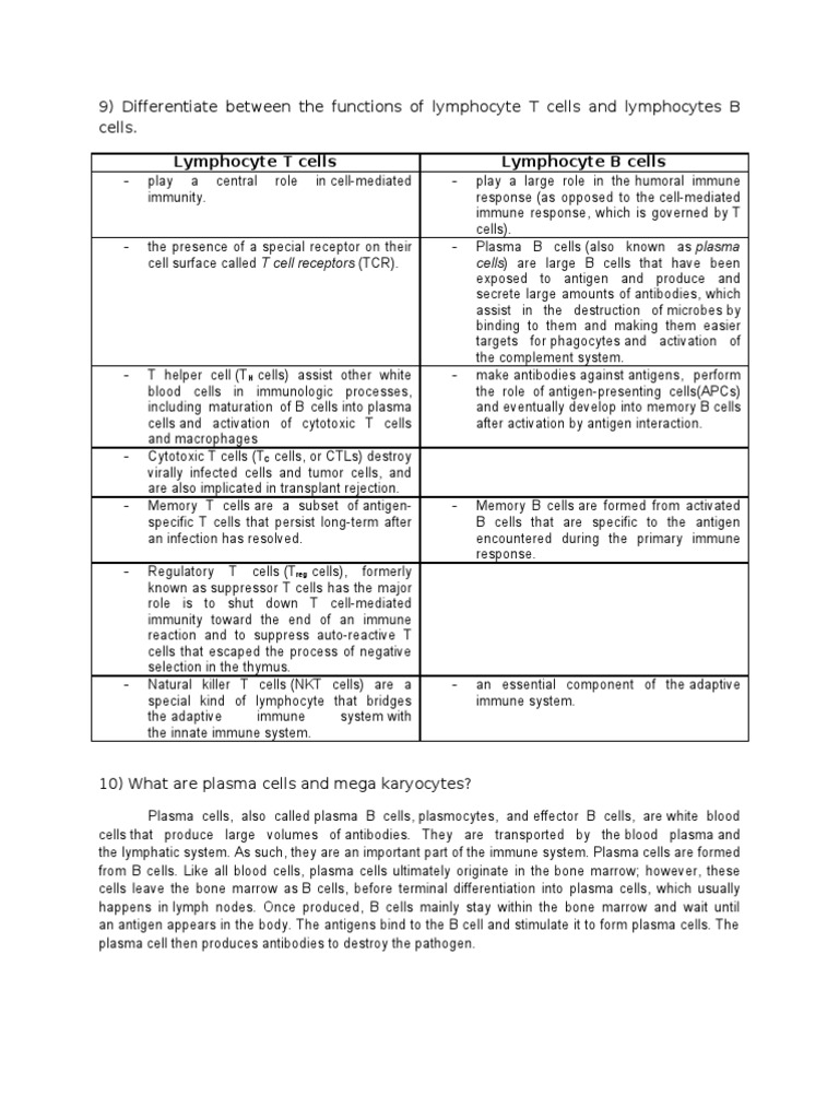 Anatomy | PDF | Immune System | T Cell