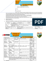 Unidades Educacion Fisica Quinto Año