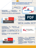 Infografía - Organismo Nacional