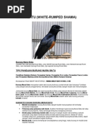 Download MURAI BATU by Thoto Efendi SN72787683 doc pdf