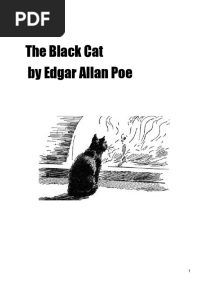 The Black Cat