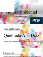 Cultura Ambiental