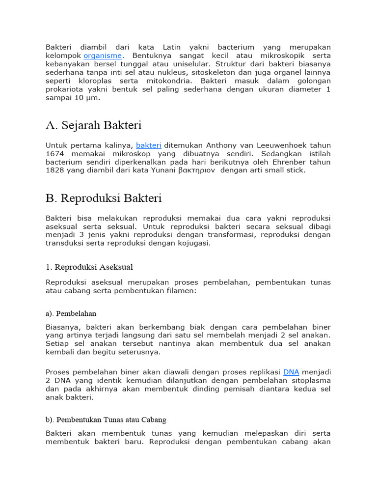 Pakaian Sutera Dicelup dengan Darah Daun Kastor Purba: Sejarah dan Teknologi yang Mengagumkan