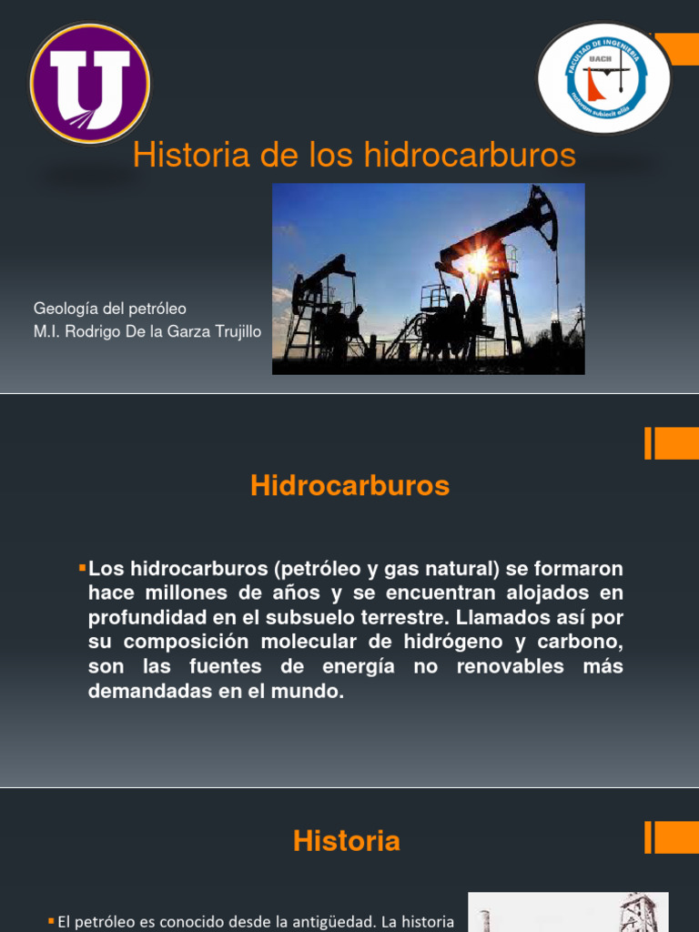 Historia y origen de los hidrocarburos | PDF | Petróleo | Plantas
