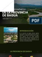 Principales Actividades Económicas de La Provincia de Bagua