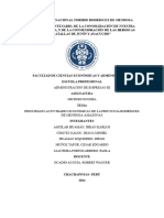 Informe Principales Actividades Económicas Rodríguez de Mendoza