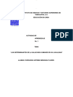 Actividad de Aprendizaje No 1 Los Determinantes de La Salud Mas Comunes en Su Localidad