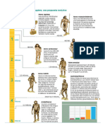 El Proceso de Hominización-Ficha Del LIBRO 1°