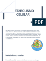 Metabolismo Celular