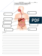 Q4 Digestive System Activity 1 and Hand Outs