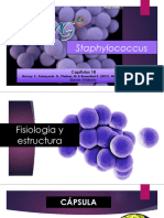 CL-2 Género Staphylococcus 2024